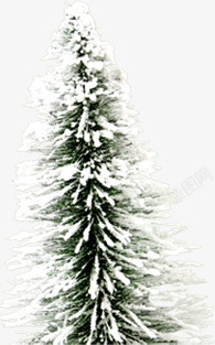 冬日白雪大树圣诞素材