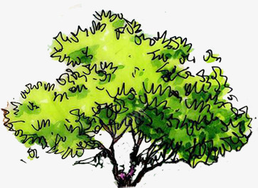 合成创意手绘绿色的大树png免抠素材_88icon https://88icon.com 创意 合成 大树 绿色