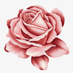 卡通手绘粉色玫瑰花朵素材