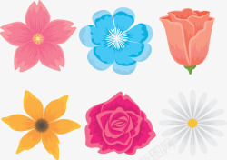 六个种类美丽春花矢量图素材