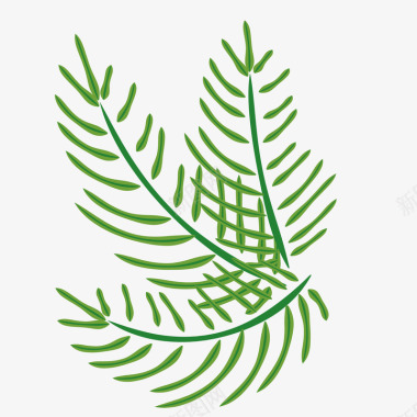 棕榈叶边框绿色棕榈图标图标