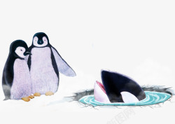 彩铅企鹅与鲨鱼素材