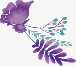 紫色水彩花卉标题框矢量图素材