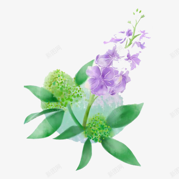 美丽的紫罗兰png免抠素材_88icon https://88icon.com 手绘 手绘紫罗兰 植物 紫罗兰 紫色 绿色 美丽 花朵 芳香