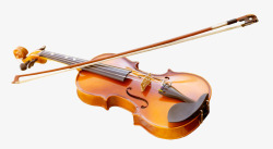 小提琴漂浮花瓣气泡简洁大方树叶素材