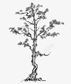 黑白松树冬天梅花树枝高清图片