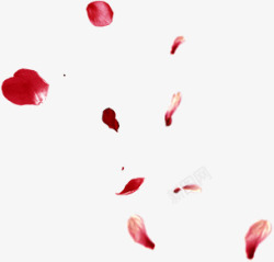 红色漂浮玫瑰花瓣美景素材