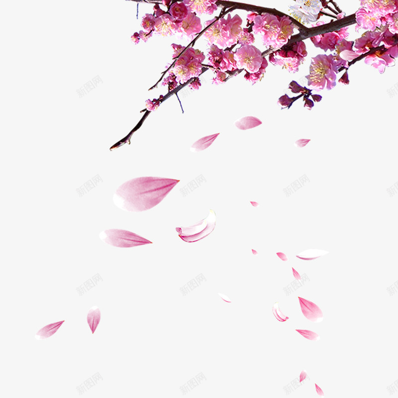 梅花psd免抠素材_88icon https://88icon.com 中国风 唯美梅花 唯美鲜花 树枝 梅花 漂浮 红色 花瓣 飘落