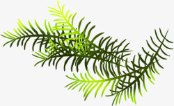 手绘缤纷圣诞节绿色植物装饰素材