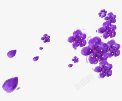 紫色清新花瓣花朵漂浮素材