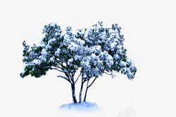 雪中的树木素材