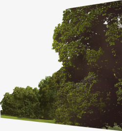 创意摄影风格绿色森林大树素材