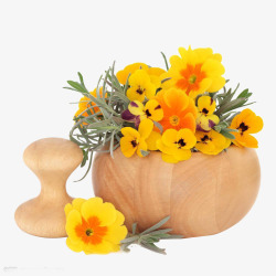 木质花盆里的黄色小花朵素材