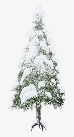 白雪大树素材