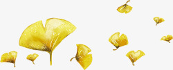漂浮的黄色银杏叶子素材