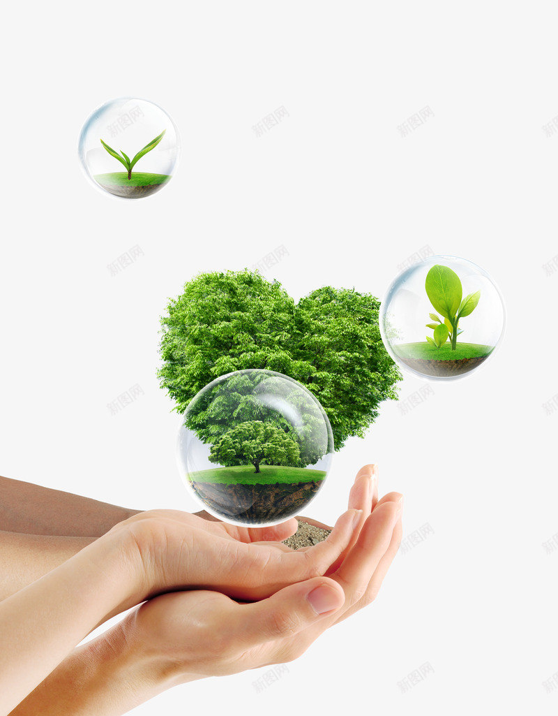 手捧大树png免抠素材_88icon https://88icon.com 手 手捧树木 树木 环保 环保素材 绿色环保