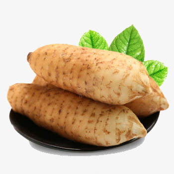 大别山特产生鲜天麻png免抠素材_88icon https://88icon.com 大别山特产 天麻 实物 生鲜 生鲜天麻 秋冬煲汤 野生天麻