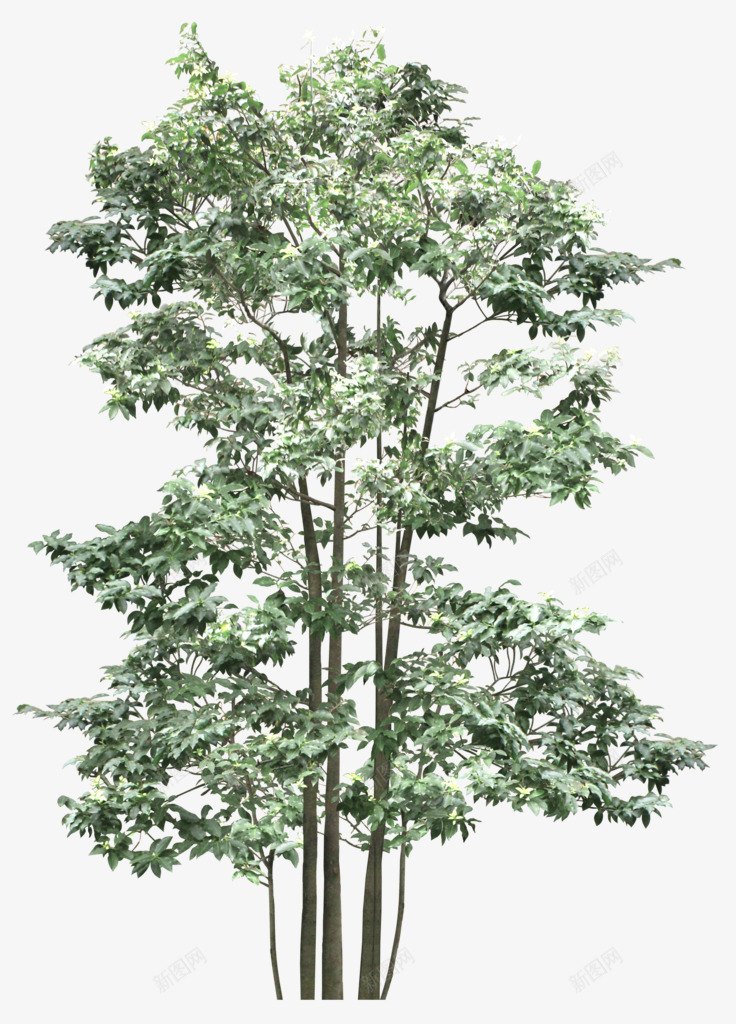 创意合成摄影绿色的大树造型png免抠素材_88icon https://88icon.com 创意 合成 大树 摄影 绿色 造型