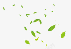 卡通手绘漂浮绿色叶子素材