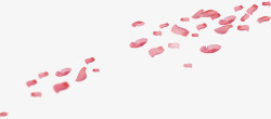 粉红花瓣玫瑰花瓣漂浮装饰素材