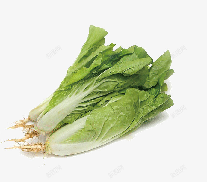 小白菜png免抠素材_88icon https://88icon.com 小白菜 有机蔬菜 蔬菜 食物