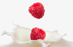 漂浮果仁牛奶里的水果桑葚高清图片