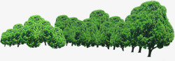 绿树园林景观大树素材