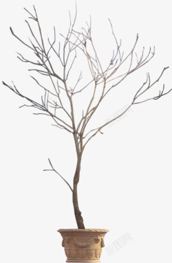 手绘冬日大树植物景观素材