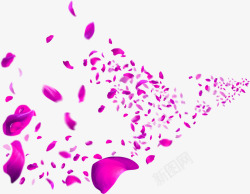 粉色漂浮花瓣婚礼素材