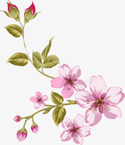 粉色蔷薇装饰素材