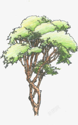 手绘漫画大树场景素材