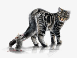 猫和老鼠素材