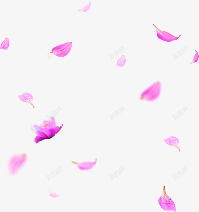 紫色花瓣装饰png免抠素材_88icon https://88icon.com 浪漫 漂浮元素 烂漫 花瓣