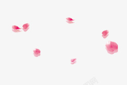 粉红色花瓣漂浮花瓣素材