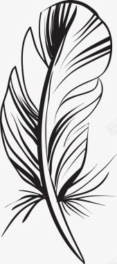 创意叶子底纹黑色线条羽毛图标图标