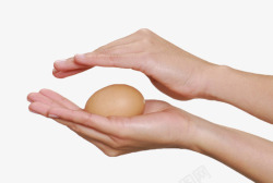 褐色鸡蛋手握着的初生蛋实物素材
