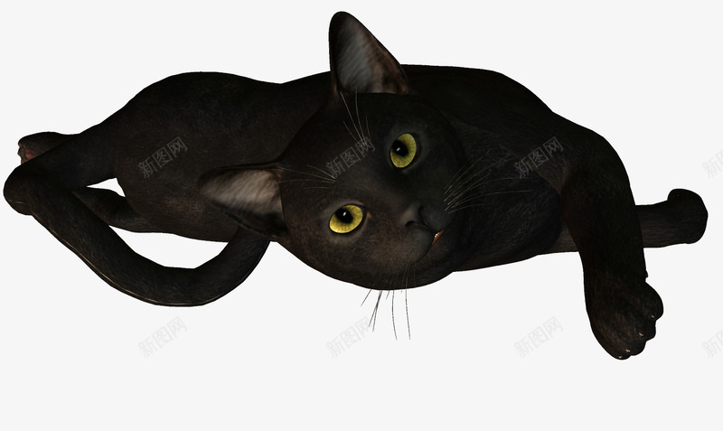 懒猫png免抠素材_88icon https://88icon.com 动物 小猫咪 懒猫 流浪猫 猫咪 黑猫