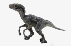 恐龙模型素材