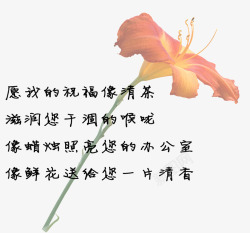 花卉爱心教师节祝福语高清图片
