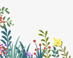 夏日清新装饰插图绿植花卉与绿草素材