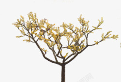 黄色小花大树小区景观装饰素材