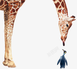 长颈鹿与企鹅写实水彩素材