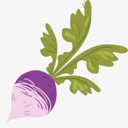 水萝卜png紫色水萝卜矢量图高清图片