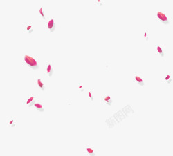 粉色漂浮花瓣海报素材