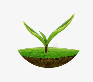 种植在土壤中的发芽植物绿色环保png免抠素材_88icon https://88icon.com 发芽 土壤 植物 环保 绿色
