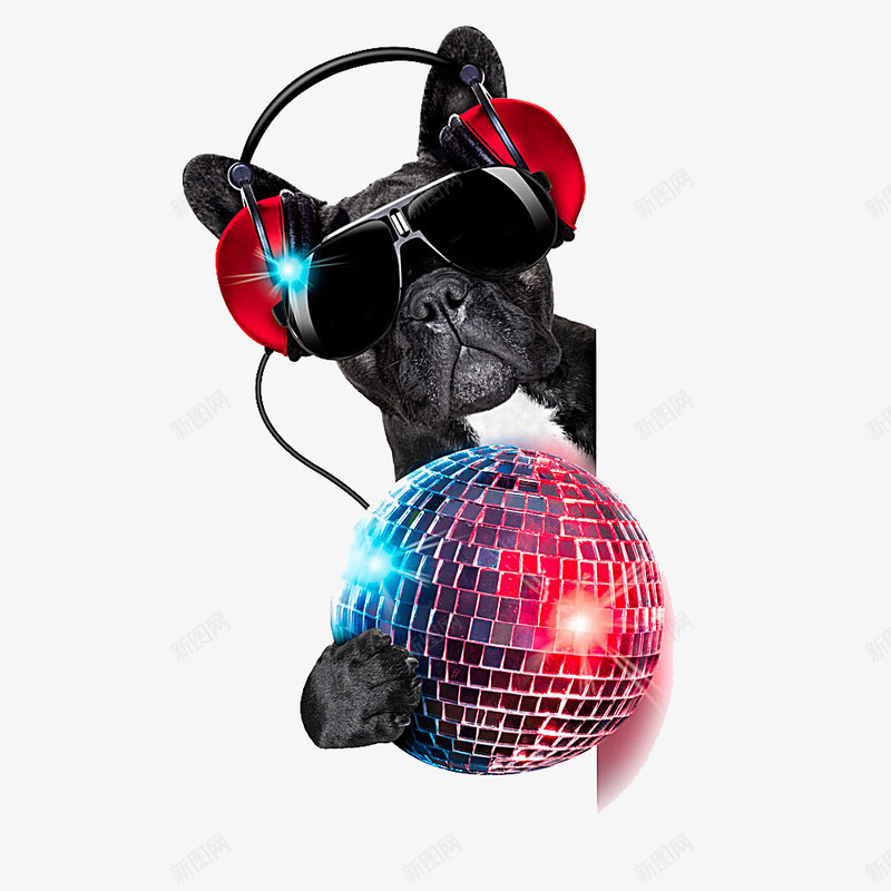 彩色迪斯科球png免抠素材_88icon https://88icon.com disco 墨镜 宠物 拿着迪斯科球的狗 狗 耳机 迪斯科球