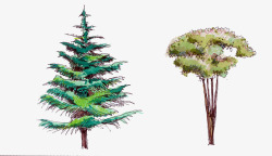 手绘水彩植物大树松树素材