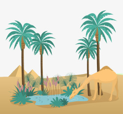 沙漠绿洲插画素材