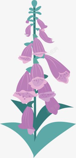 紫色美丽春天串花矢量图素材