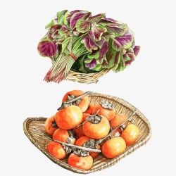 蔬菜水果手绘画片素材